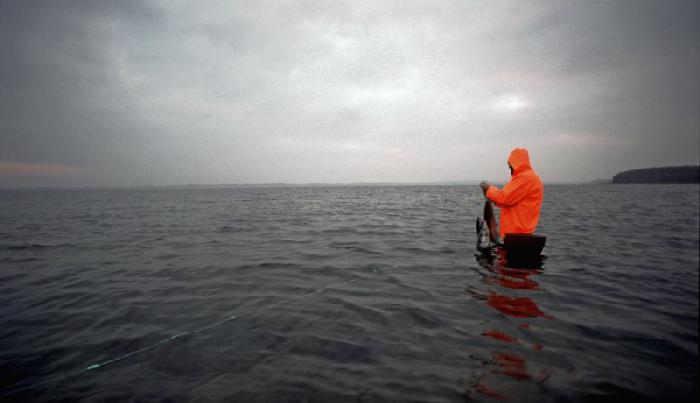 Randers Fjord er plaget af ulovligt fiskeri