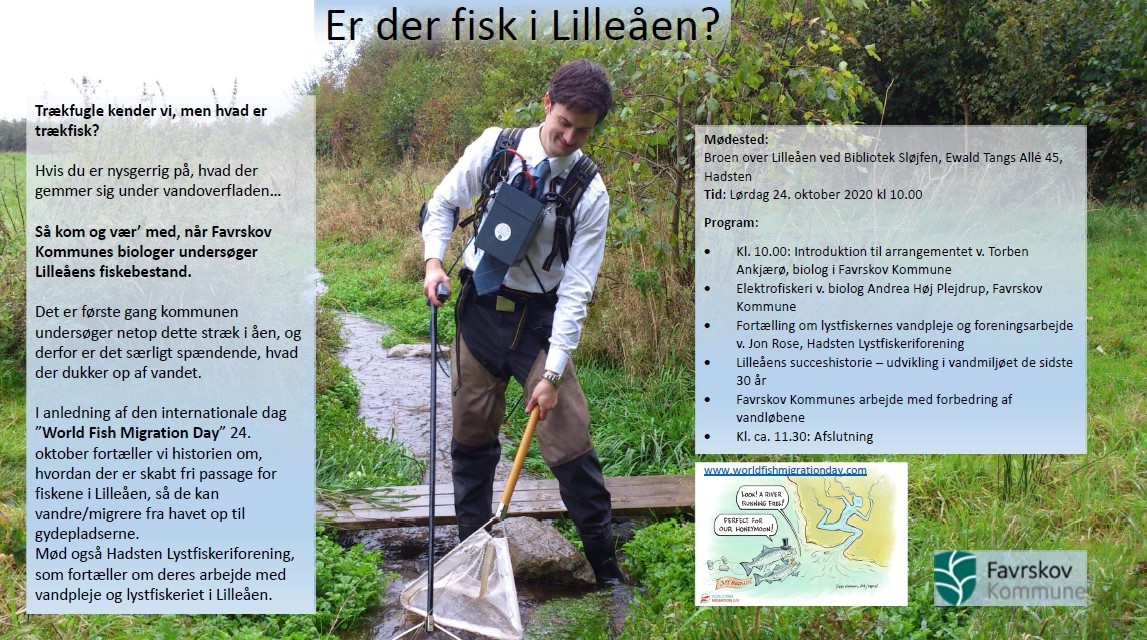 Er der fisk i Lilleåen