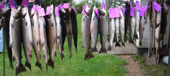 Husk det er denne weekend at vores medlemskonkurrence løber af stablen